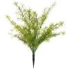 Wholesale 👍 12 Pack: Springeri Bush by Ashland® 🎉 -Ashland Sales MP547458 1