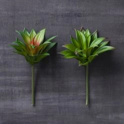 Deals 🎉 12 Pack: Assorted Agave Pick by Ashland® 😍 -Ashland Sales MP547490 22