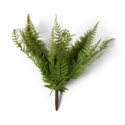 Cheapest 😉 8 Pack: Green Boston Fern Bush by Ashland® 🥰 -Ashland Sales MP547493 21