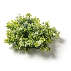 Hot Sale ⌛ 8 Pack: Green Boxwood Bush by Ashland® 🥰 -Ashland Sales MP547534 21
