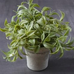 Flash Sale ✨ 6 Pack: Premade Soft Plastic Leaves Bush by Ashland® 🌟 -Ashland Sales MP547545 22