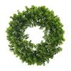 Cheapest 💯 12 Pack: 22" Boxwood Wreath by Ashland® 🎉 -Ashland Sales MP547547 1