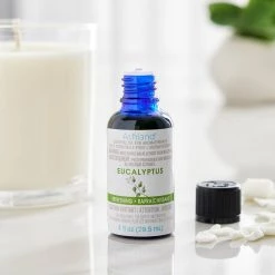 Best deal 🧨 8 Pack: Eucalyptus Refreshing Essential Oil by Ashland® 🧨 -Ashland Sales MP597217 20