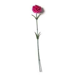Best Sale 🌟 24 Pack: Hot Pink Carnation Stem by Ashland® 👍 -Ashland Sales MP626417 21