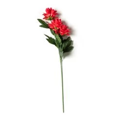 Hot Sale 😍 12 Pack: Red Hops Stem by Ashland® 👍 -Ashland Sales MP626421 21