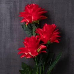 Hot Sale 😍 12 Pack: Red Hops Stem by Ashland® 👍 -Ashland Sales MP626421 22