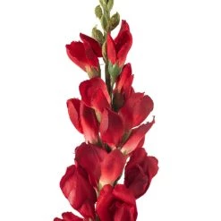 Cheap 🧨 12 Pack: Red Snapdragon Spray by Ashland® ⭐ -Ashland Sales MP626425 20