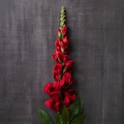 Cheap 🧨 12 Pack: Red Snapdragon Spray by Ashland® ⭐ -Ashland Sales MP626425 22