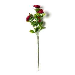 Promo 😉 12 Pack: Burgundy Ranunculus Spray by Ashland® ⭐ -Ashland Sales MP626427 21