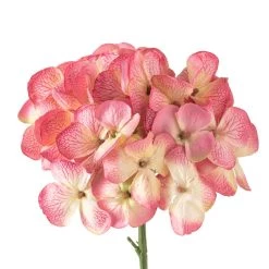 Hot Sale 🧨 12 Pack: Mauve Hydrangea Stem by Ashland® 🤩 10 Hot Sale 🧨 12 Pack: Mauve Hydrangea Stem by Ashland® 🤩 -Ashland Sales MP626445 20