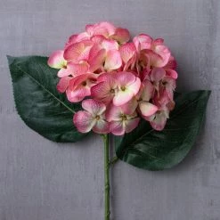 Hot Sale 🧨 12 Pack: Mauve Hydrangea Stem by Ashland® 🤩 9 Hot Sale 🧨 12 Pack: Mauve Hydrangea Stem by Ashland® 🤩 -Ashland Sales MP626445 22