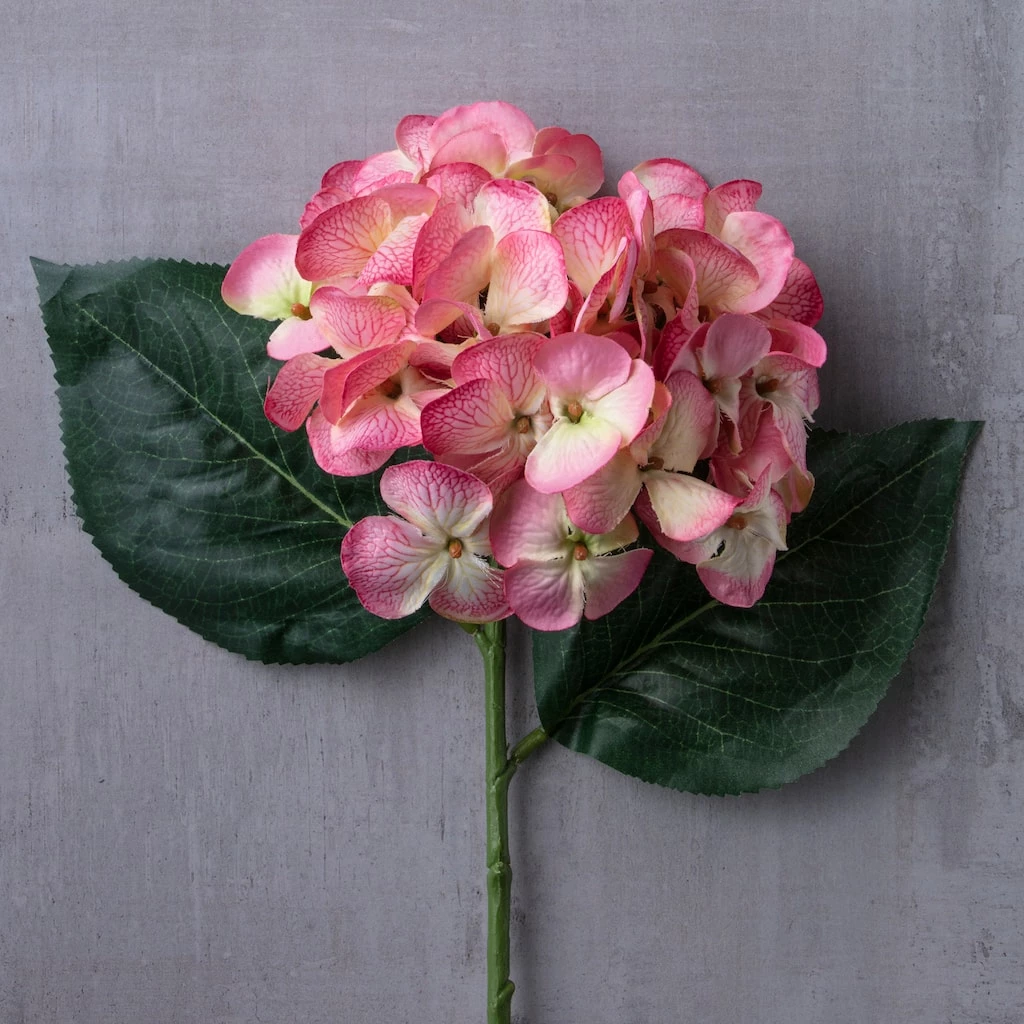 Hot Sale 🧨 12 Pack: Mauve Hydrangea Stem by Ashland® 🤩 5 Hot Sale 🧨 12 Pack: Mauve Hydrangea Stem by Ashland® 🤩 - Image 3