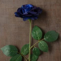 Cheap 🌟 12 Pack: Navy Princess Rose Stem by Ashland® 👏 -Ashland Sales MP626447 25