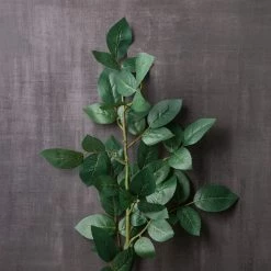 Top 10 💯 12 Pack: Rose Leaf Stem by Ashland® 🧨 -Ashland Sales MP626471 22