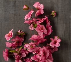 Brand new 😍 12 Pack: Mauve Peach Blossom Spray by Ashland® 🌟 -Ashland Sales MP626479 25