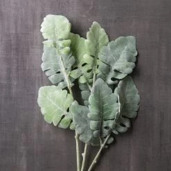 Best reviews of 👏 12 Pack: Green Dusty Miller Spray by Ashland® 😍 -Ashland Sales MP626483 22