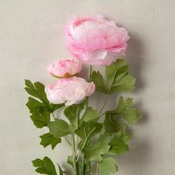 Coupon π 12 Pack: Pink Ranunculus Spray by Ashland® π 9 Coupon π 12 Pack: Pink Ranunculus Spray by Ashland® π -Ashland Sales MP626529 25