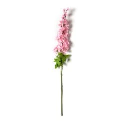 Best reviews of 😍 12 Pack: Pink Larkspur Stem by Ashland® ⌛ -Ashland Sales MP626562 21