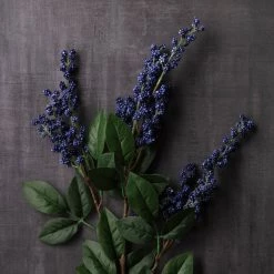 Best reviews of 💯 12 Pack: Blue Berry Spray by Ashland® 🥰 -Ashland Sales MP626572 22