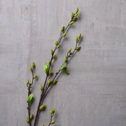 Best Sale 😉 12 Pack: Green Willow Stem by Ashland® 👏 -Ashland Sales MP626847 22