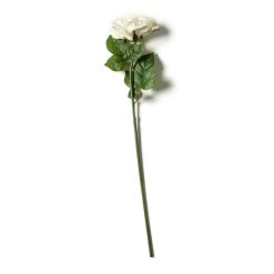 Deals 🌟 6 Pack: White Rose Stem by Ashland® 🎁 -Ashland Sales MP626862 21