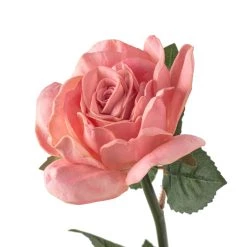 Discount π― 6 Pack: Blush Rose Stem by Ashland® π 11 Discount π― 6 Pack: Blush Rose Stem by Ashland® π -Ashland Sales MP626864 20
