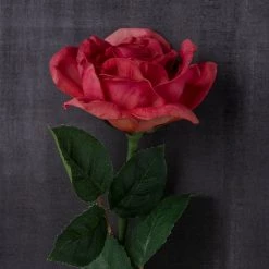 Best Sale ⌛ 6 Pack: Fuchsia Rose Stem by Ashland® ⌛ -Ashland Sales MP626870 22