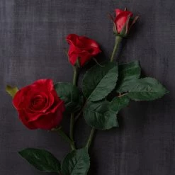 Deals 🛒 6 Pack: Red Rose Spray by Ashland® 🔥 -Ashland Sales MP626884 25