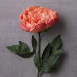 Best Sale ⭐ 6 Pack: Pink Peony Stem by Ashland® 🤩 11 Best Sale ⭐ 6 Pack: Pink Peony Stem by Ashland® 🤩 -Ashland Sales MP626888 22