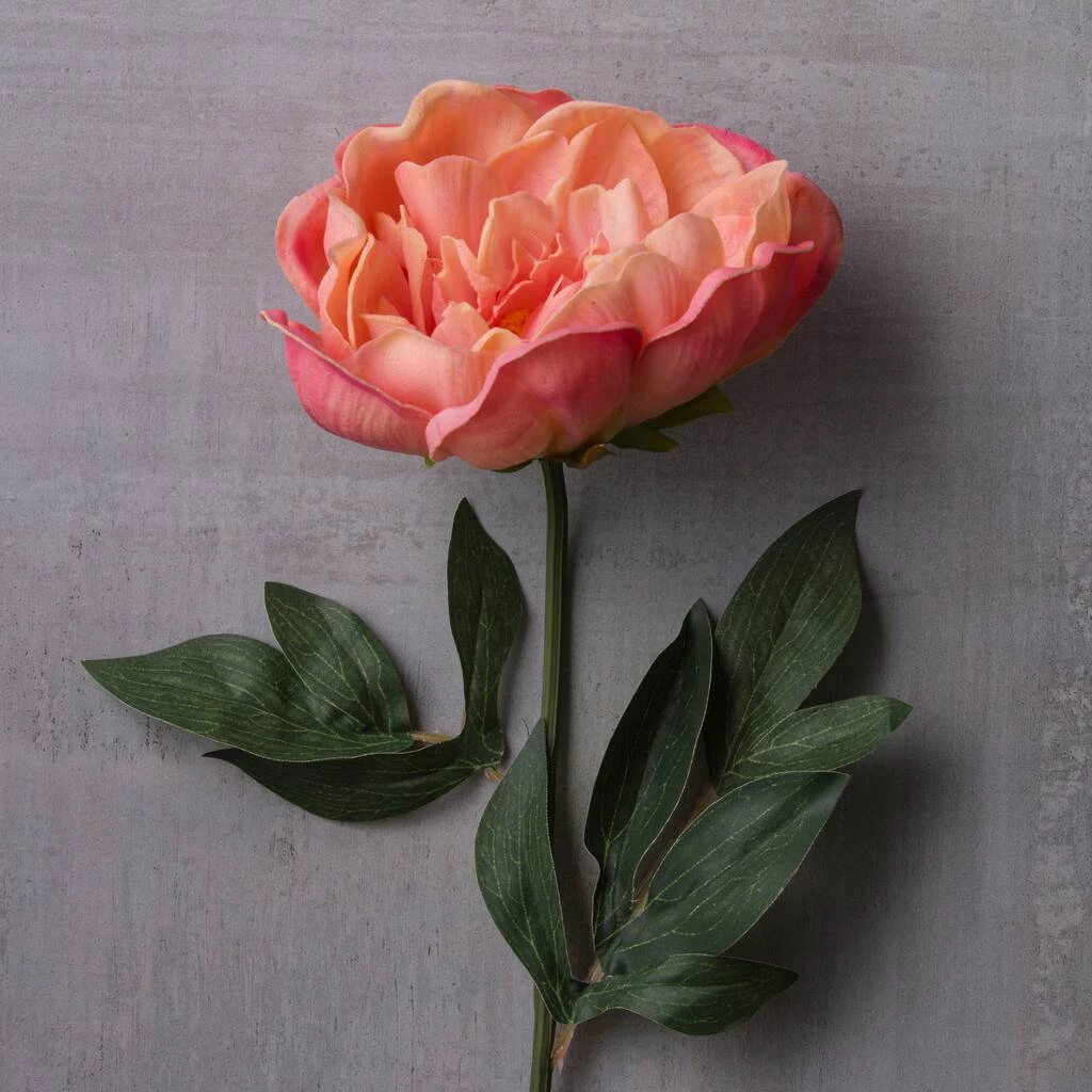 Best Sale ⭐ 6 Pack: Pink Peony Stem by Ashland® 🤩 6 Best Sale ⭐ 6 Pack: Pink Peony Stem by Ashland® 🤩 - Image 4