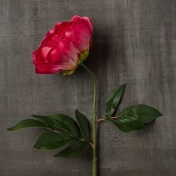 Best reviews of 🎉 6 Pack: Fuchsia Peony Stem by Ashland® 😍 -Ashland Sales MP626892 25