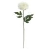 Promo 🤩 12 Pack: White Peony Stem by Ashland® 😍 -Ashland Sales MP626894 1