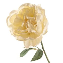 Promo 🤩 12 Pack: White Peony Stem by Ashland® 😍 -Ashland Sales MP626894 20