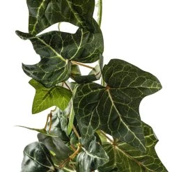 Best reviews of 🌟 4 Pack: 6ft. Green English Ivy Garland by Ashland® 🥰 -Ashland Sales MP626978 20
