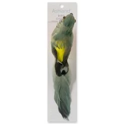 Best reviews of 🧨 12 Pack: Assorted Feather Parrots by Ashland® 🎁 -Ashland Sales MP627157 20