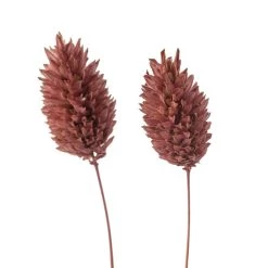 Cheap 🔥 6 Pack: Coral Poa Grass Bundle by Ashland® 🥰 -Ashland Sales MP628612 20