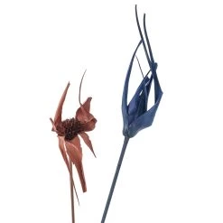 Wholesale ⌛ 8 Pack: Assorted Star Grass Bundle by Ashland® 🎉 -Ashland Sales MP628613 20