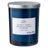 Wholesale 😀 8 Pack: Twilight & Currant 2-Wick Jar Candle by Ashland® 🤩 -Ashland Sales MP638398 30