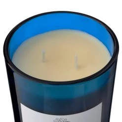 Wholesale 😀 8 Pack: Twilight & Currant 2-Wick Jar Candle by Ashland® 🤩 -Ashland Sales MP638398 31