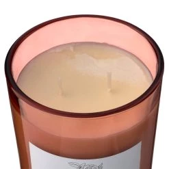 New 👍 8 Pack: Peony & Rose 2-Wick Jar Candle by Ashland® 💯 -Ashland Sales MP638399 31