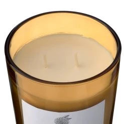 Best reviews of 🛒 8 Pack: Grapefruit & Honey 2-Wick Jar Candle by Ashland® 🎉 -Ashland Sales MP638406 31