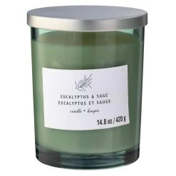 Best deal β€οΈ 8 Pack: Eucalyptus & Sage 2-Wick Jar Candle by Ashland® π