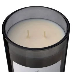 Wholesale 🤩 8 Pack: Embers & Musk 2-Wick Jar Candle by Ashland® 💯 -Ashland Sales MP638410 31