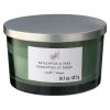 New 🎉 8 Pack: Eucalyptus & Sage 3-Wick Jar Candle by Ashland® 🔔 -Ashland Sales MP638411 30