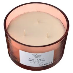 Best deal 🤩 8 Pack: Peony & Rose 3-Wick Jar Candle by Ashland® 🌟 -Ashland Sales MP638413 31