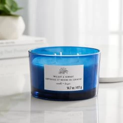 Budget ❤️ 8 Pack: Twilight & Currant 3-Wick Jar Candle by Ashland® 🔥 -Ashland Sales MP638416 20