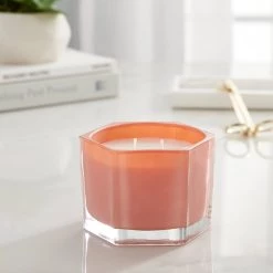 New ✔️ 6 Pack: Rose & Saffron 2-Wick Jar Candle by Ashland® ⭐ -Ashland Sales MP638424 20