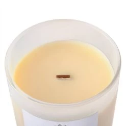 Best reviews of 🧨 8 Pack: Vanilla & Amber Wooden Wick Jar Candle by Ashland® ✔️ -Ashland Sales MP638430 31