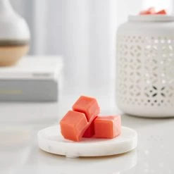 Budget ❤️ 12 Pack: Peony & Rose Wax Melts by Ashland® 🔥 6 Budget ❤️ 12 Pack: Peony & Rose Wax Melts by Ashland® 🔥 -Ashland Sales MP639290 20