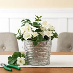 Discount 😀 12 Pack: 6.3" Galvanized Pail by Ashland® 🎉 -Ashland Sales MP671574 20